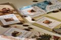 A Journey Of Flavors And Cultures